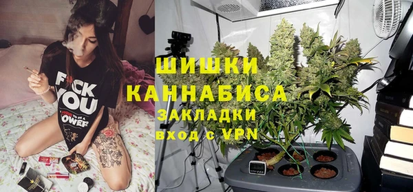 мдпв Козловка