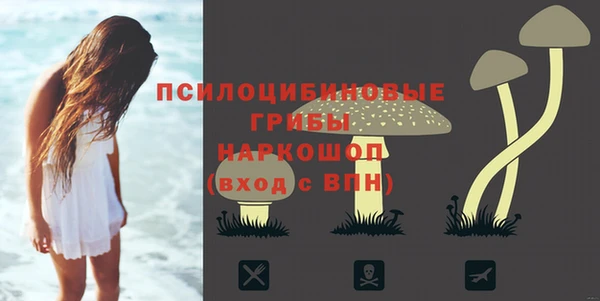 ALPHA PVP Баксан