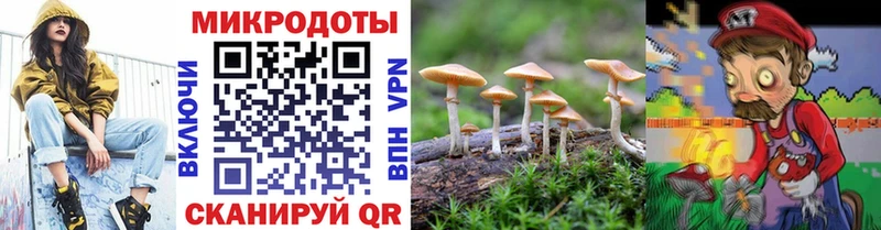 Галлюциногенные грибы мицелий Вязники
