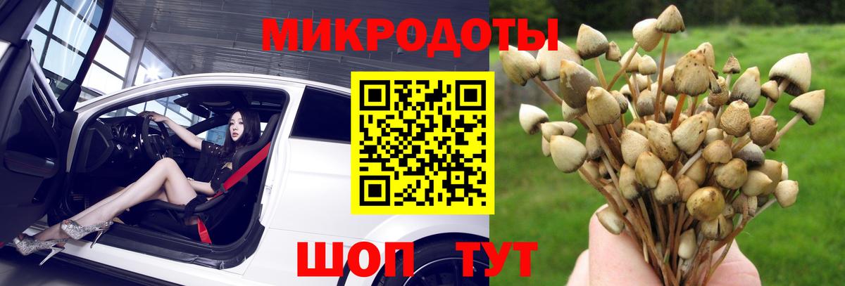 Вязники  Псилоцибиновые грибы MAGIC MUSHROOMS  Вход с VPN 